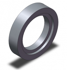 Scheibe 98,800X  21,000          MM 98,8 