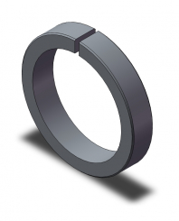 Ring 55x10 